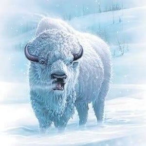 Meet your Posher, Bob